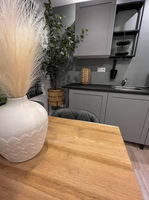 Gezellig Appartement, Gerenoveerd Eind 2022 Tilburg Bagian luar foto